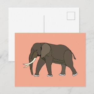 Carte Postale Animal Éléphant