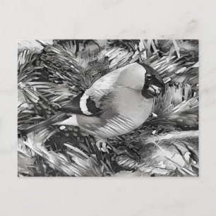 Carte Postale AnimalArtBW_Bird 001 -Bullfinch