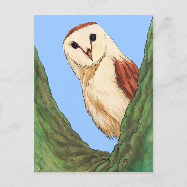 carte postale animale de chouette des neiges (Devant)