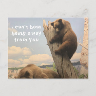 Carte postale animale manquante