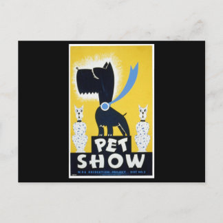 Carte Postale Animaux