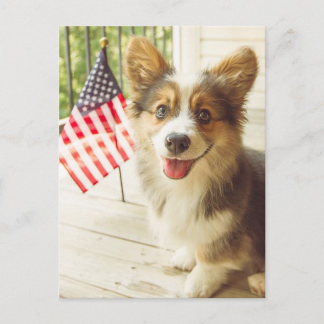 Carte Postale Animaux Bébés les Plus Mignons | Corgi Drapeau Amé (Devant)
