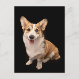 Carte Postale Animaux Bébés les Plus Mignons Sourire de chiot