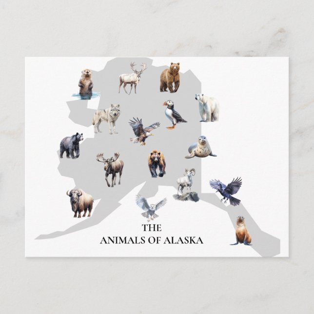 Carte Postale Animaux d'Alaska Amérique du Nord (Devant)