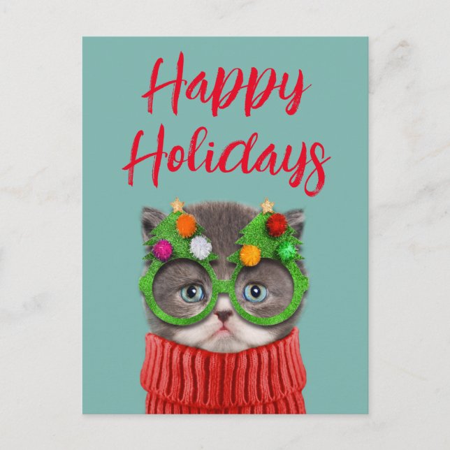 Carte Postale Animaux de bébés cutest | Chandail de Noël de chat (Devant)
