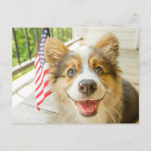 Carte Postale Animaux de bébés cutest Chiot de Corgi Patriotiq