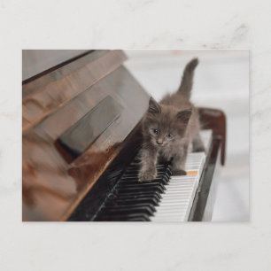 Carte Postale Animaux de bébés cutest Kitten sur piano