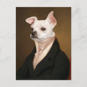 Carte Postale Animaux de bébés cutest   Royal Chihuahua Portrait