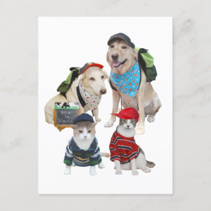Carte Postale Animaux de compagnie