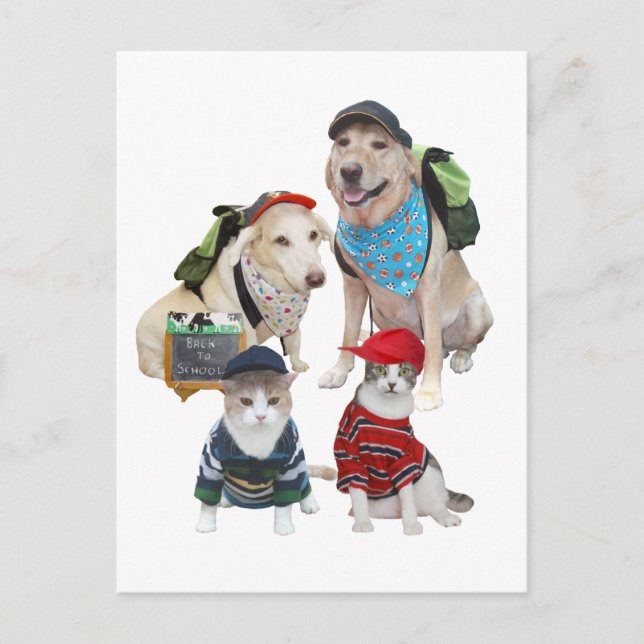 Carte Postale Animaux de compagnie (Devant)