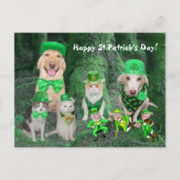 Animaux de compagnie et Leprechauns