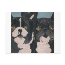 animaux de compagnie par eric ginsburg