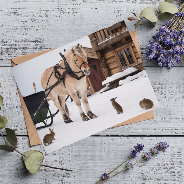Carte Postale Animaux de ferme parler cheval et lapins (Créateur téléchargé)
