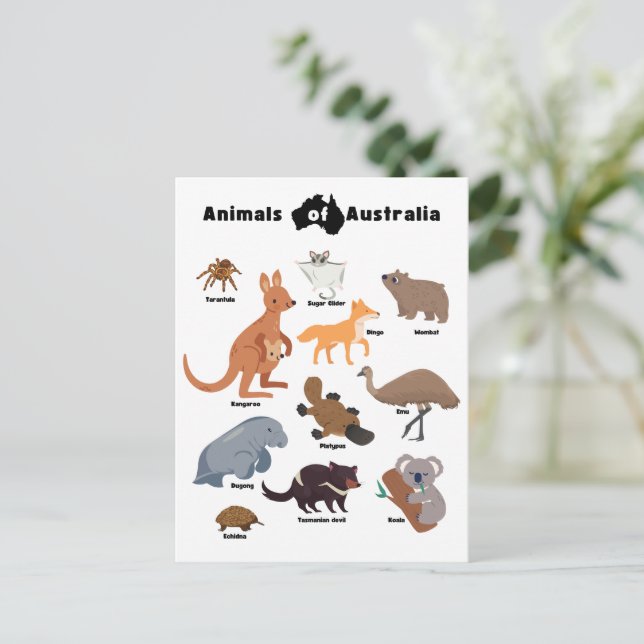Carte Postale Animaux de l'Australie faune australienne (Debout devant)