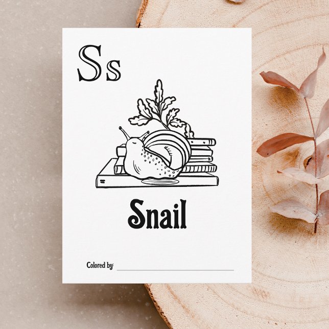 Carte Postale Animaux des bois ABC Coloration Activité du Baby s (Letter S - Color Your Own Baby's First ABC's Keepsake Cards)