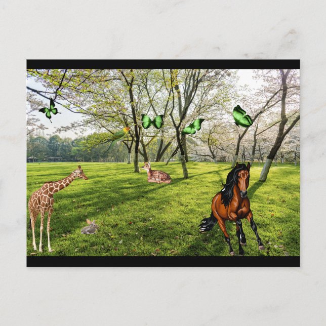 Carte Postale Animaux Sauvages  (Devant)
