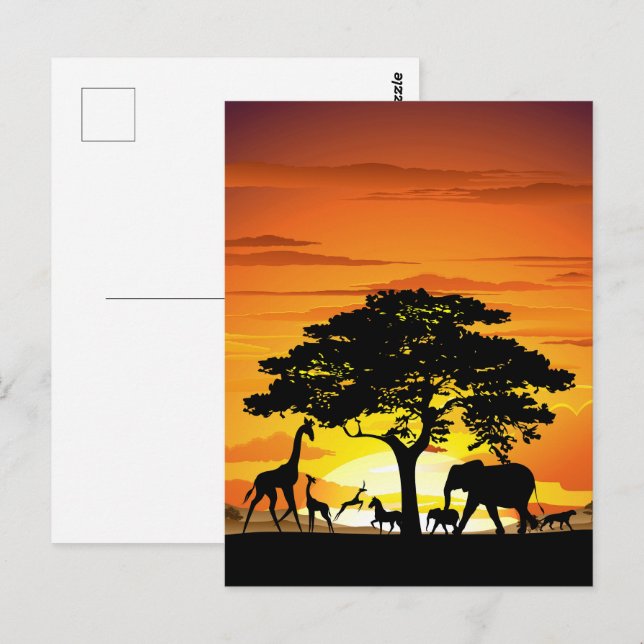Carte Postale Animaux sauvages sur le coucher de soleil de la sa (Devant / Derrière)