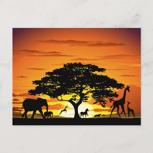 Carte Postale Animaux sauvages sur le coucher de soleil de la sa (Devant)
