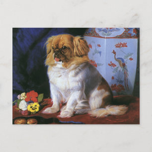 Carte Postale Animaux vintages, Chien Chien Chien Chien Chien Ch