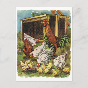 Carte Postale Animaux vintages, Coq, Poules, Poulets