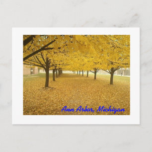 Carte Postale Ann Arbor à l'automne