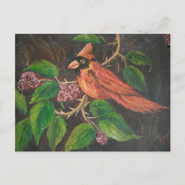 Carte postale Ann Hayes Peinture Cardinal (Devant)