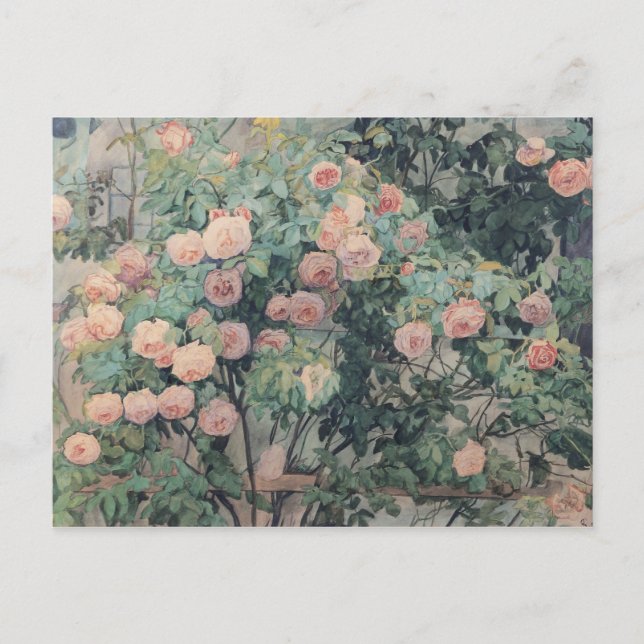 Carte Postale Anna Syberg Roses Vintages (Devant)