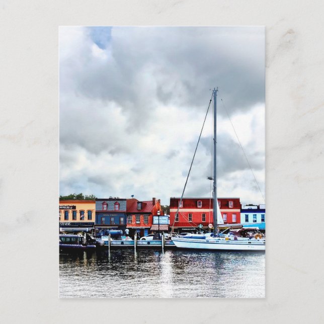 Carte Postale Annapolis Md - City Dock (Devant)