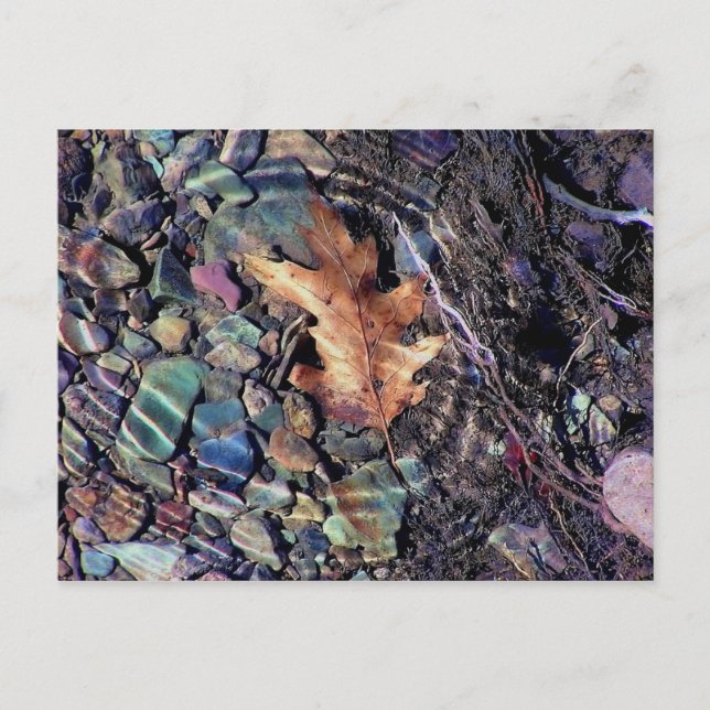 Carte Postale anneaux d'eau vive (Devant)