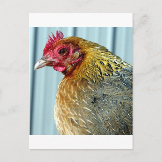 Carte Postale Annie (Devant)