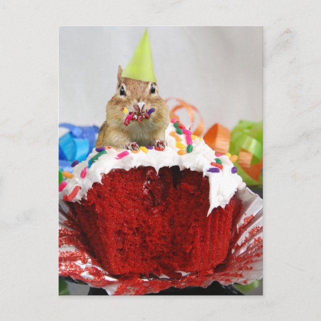 Carte Postale Anniversaire Chipmunk (Devant)