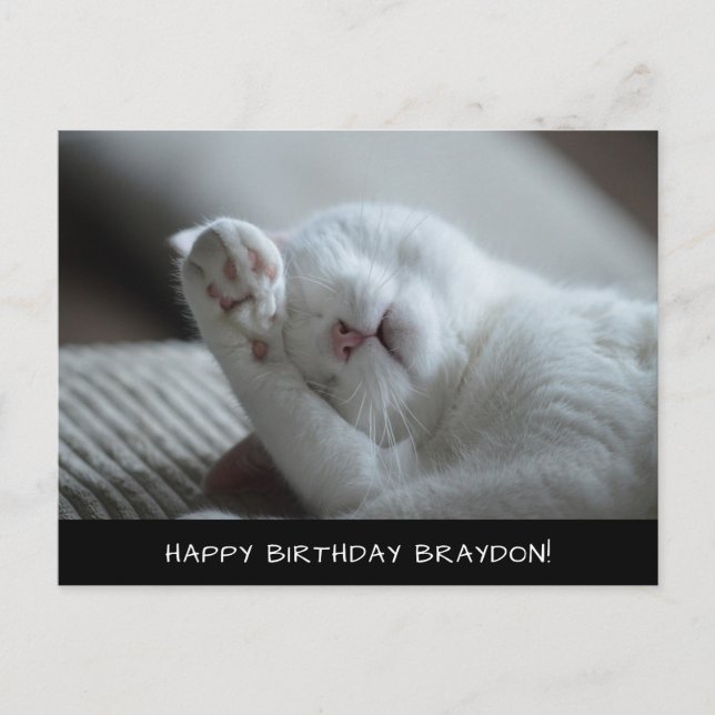 Carte postale Anniversaire Cute Chat Blanc (Devant)