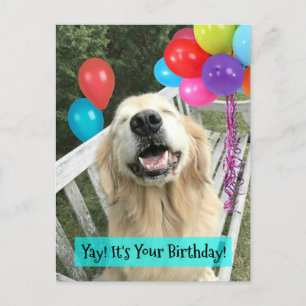 Carte Postale Anniversaire de Chien Retriever Doré avec Ballons
