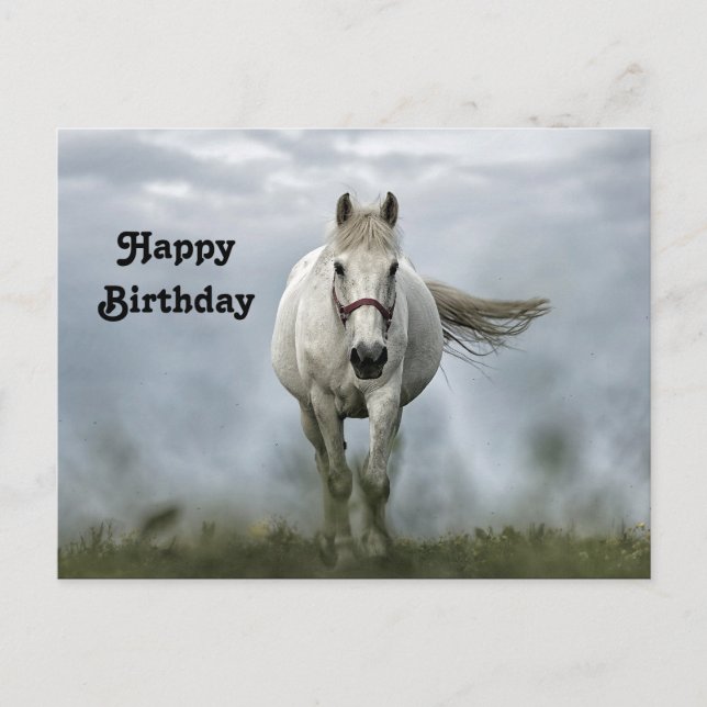 Carte Postale Anniversaire de la photo d'un joli Cheval blanc (Devant)