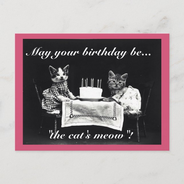 Carte Postale Anniversaire de Meow (Devant)