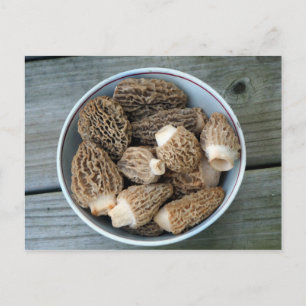 Carte postale Anniversaire de Morel Mushrooms