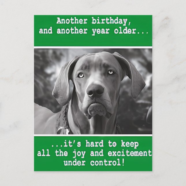 Carte Postale Anniversaire de naissance de photo de chien person (Devant)
