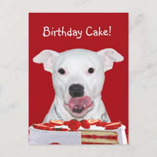 Carte Postale Anniversaire de Pit Bull Terrier