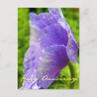 Anniversaire des fleurs violettes