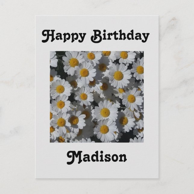 Carte Postale Anniversaire des marguerites blanches (Devant)