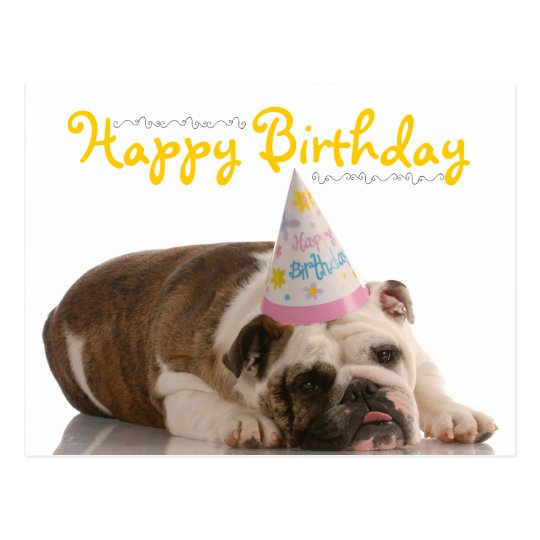 Carte Postale Anniversaire Drole De Bouledogue Zazzle Ca