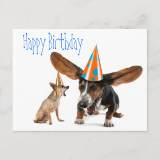 Carte Postale Anniversaire drôle du chien