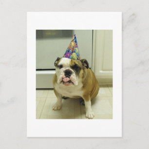 Carte Postale Anniversaire du Bulldog anglais