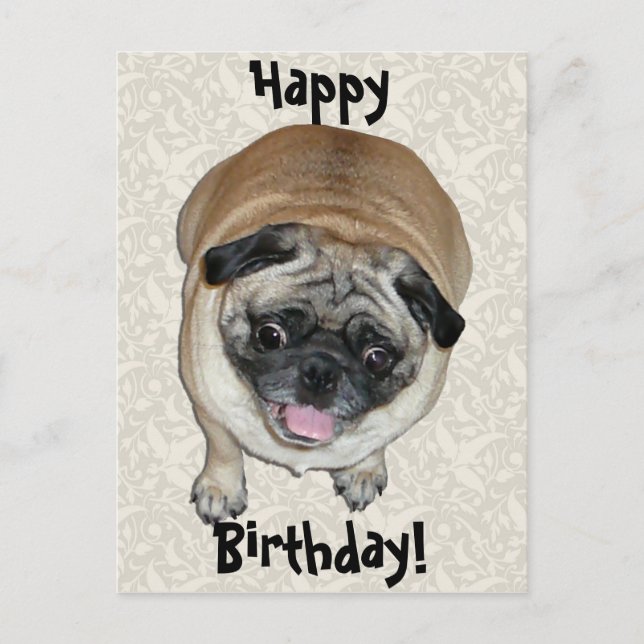 Carte Postale Anniversaire du chien de Carlin mignon (Devant)
