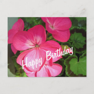 Carte postale Anniversaire en géranium rose
