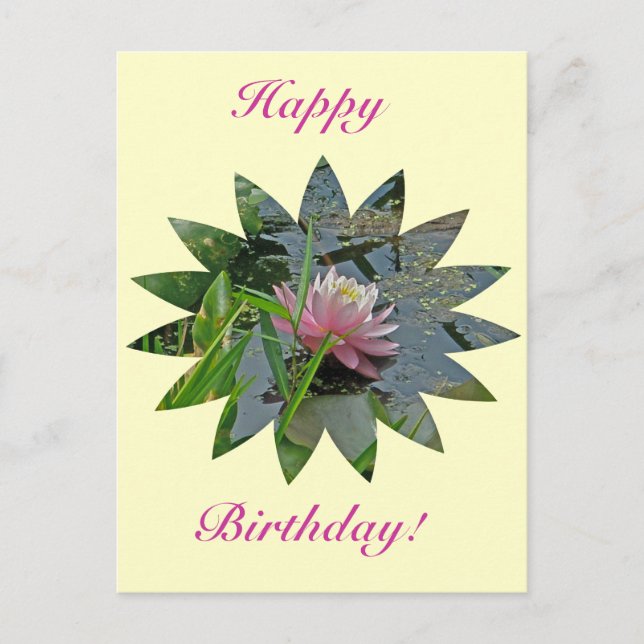 Carte Postale Anniversaire Pink Water Lily (Devant)