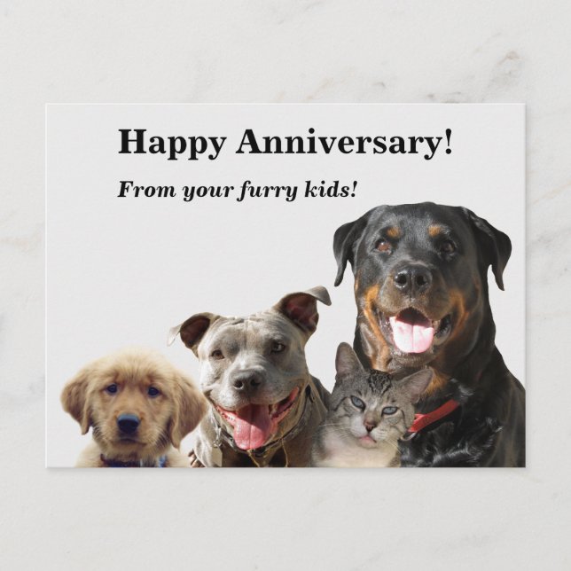 Carte postale Anniversaire pour animaux adorables (Devant)