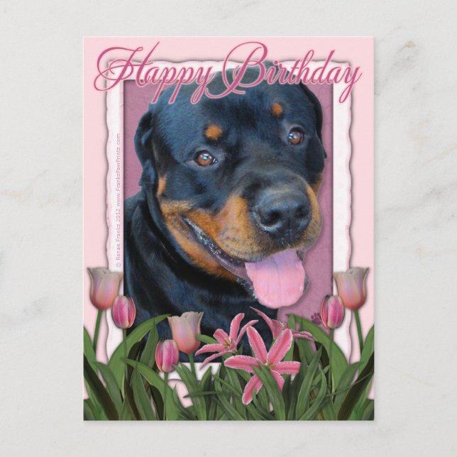 Carte Postale Anniversaire - Tulipes roses - Rottweiler - Harley (Devant)