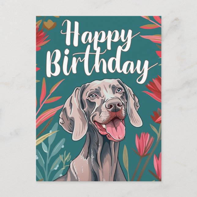 Carte Postale Anniversaire Weimaraner  (Devant)