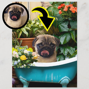 Carte Postale Annonce de naissance de chiot personnalisée